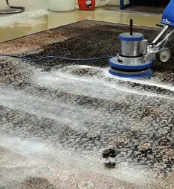 Professional rug cleaning with a rotary floor machine and shampoo foam, deep-cleaning an area rug Dayton, OH.